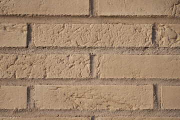 The wall is made of white bricks as a background.
