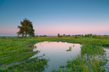 A beautiful may sunset landscape. Spring flooded water on the green field with wildflowers, under...