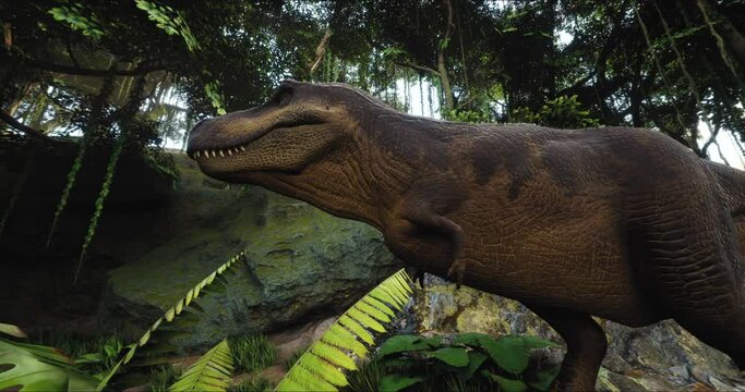 Tyrannosaurus walks through the Jurassic jungle. The Age of Dinosaurs. T-rex on the hunt. Anamorphic video. 3d rendering