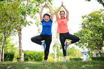 Asia senior and teenager woman training yoga at garden