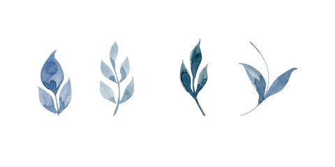 Set of hand drawn watercolor blue leaves, branches, plants. Watercolor illustration isolated on white background.