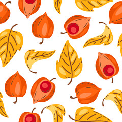 Seamless pattern of fesalis with berries. Image of autumn plant.
