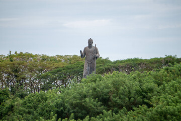 a person standing on a hill