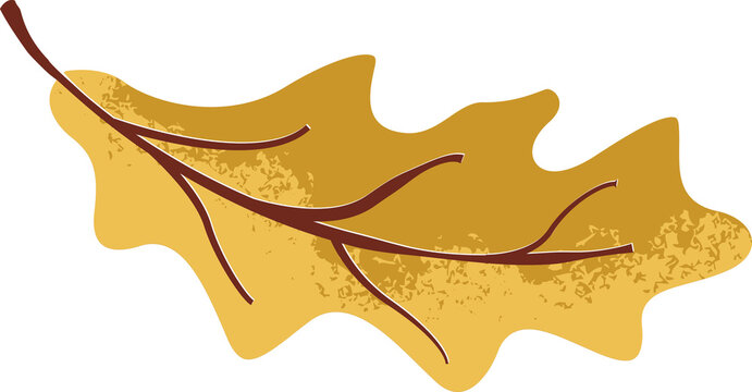 Autumn Leaves illustration 03