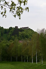 Panoramablick auf Schloss Saaleck bei Hammelburg, Bad Kissingen, Franken, Deutschland