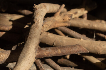 tree branches cut for firewood