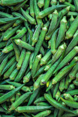 fresh organic ladyfinger from farm close up from different angle