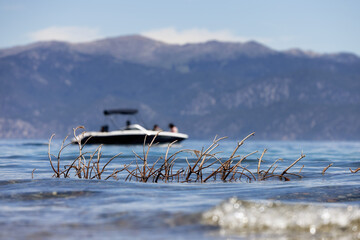 American Nature Landscape and speed boat in Background. Lake Tahoe, California, United States of...