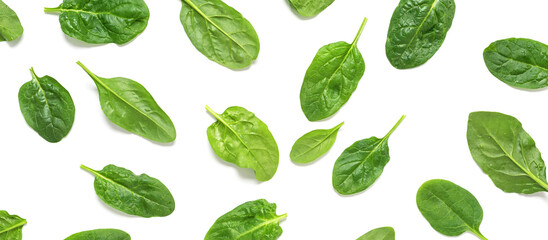 Fresh spinach leaves with drops isolated on white background. Spinach leaf pattern. Top view, flat...