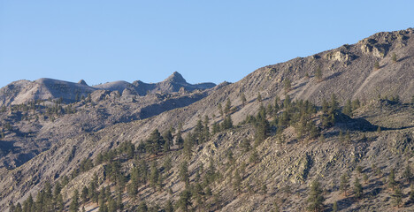 Dry rocky desert mountain landscape with trees. Sunny Morning Sky. California, United States of America. Nature Background.