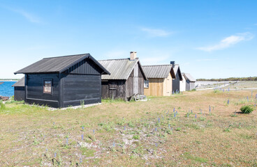 Fototapeta na wymiar Fishermans cabin in a row by the sea. Huts on the island of Gotland in Sweden.