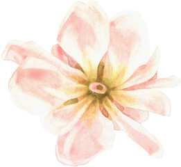 Summer Bloom Watercolor Set 13 © Pixelbuddha Studio