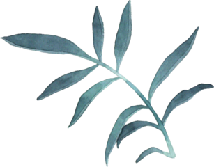 Summer Bloom Watercolor Set 92