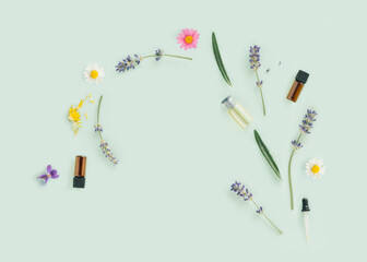 Spring or summer aromatherapy floral concept. Cosmetic plants, bottles of essential oils and pipette on isolated pastel green background with copy space. Natural care ingredients. Minimal flat lay. 