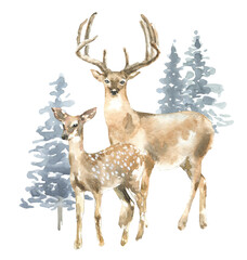 Watercolor Woodland deer, bird Merry Christmas card design iillustration,Cute Drawing Christmas decoration for greeting card, poster, invitation, baby shower Merry Christmas,New Year, holiday