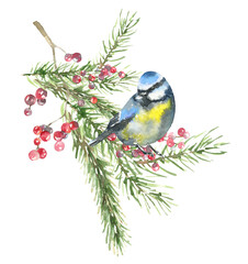 Watercolor Woodland bird plants Merry Christmas card design iillustration,Cute Drawing Christmas frame decoration for greeting card, poster, invitation, baby shower Merry Christmas,New Year, holiday