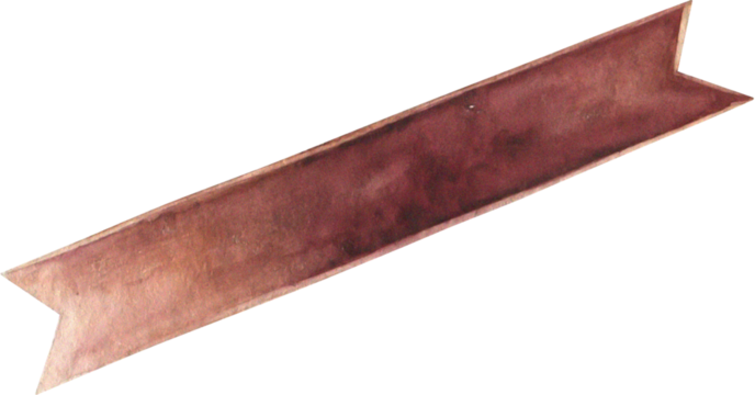 Watercolor Feathers and Leaves 48