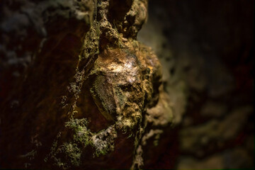 Tropfsteinhöhle