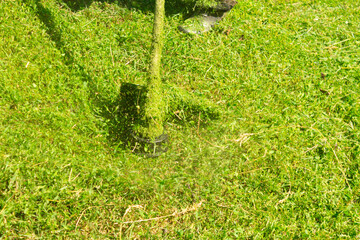 Petrol trimmer mows green grass. Photography with movement