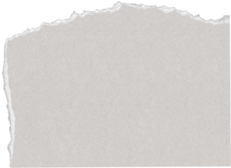 Torn Paper Mockup 08