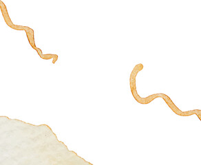 Colorful Abstract Frame