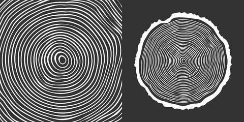 Round tree trunk cut, sawn pine or oak slice. Saw cut timber, wood. White wooden texture with tree rings. Hand drawn sketch. Vector illustration © 32 pixels