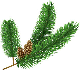 Christmas tree branche fir twig
