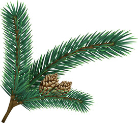 Christmas tree branche fir twig