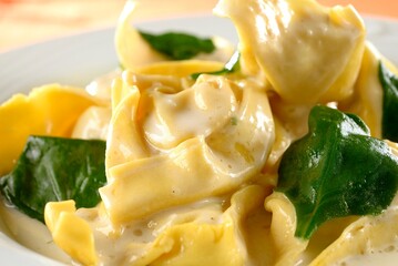 Spinach and  Ricotta Totelon