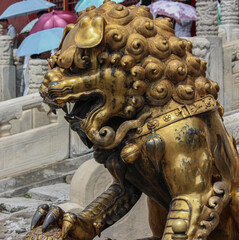 Close-up photography of the golden lion statue of the Imperial Palace in Beijing China