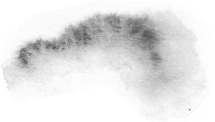 Wet on Wet Watercolor Brushes