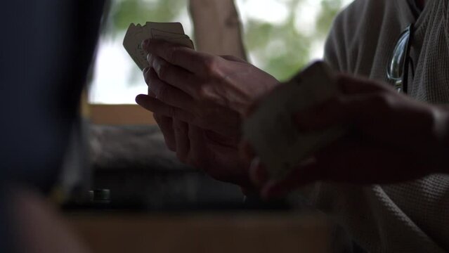 Silhouette of person playing cards in domestic surroundings, handheld view