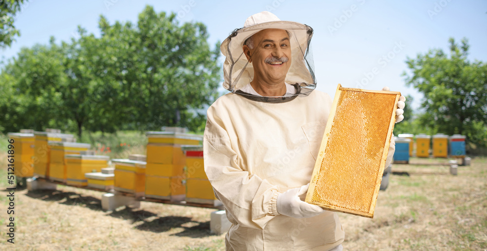 Poster Bee keeper in a uniform standing on apiary and showing a honeybee frame