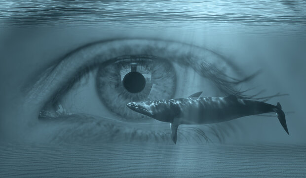 Whale swimming underwater in the blue tropical sea with beautiful girl eye