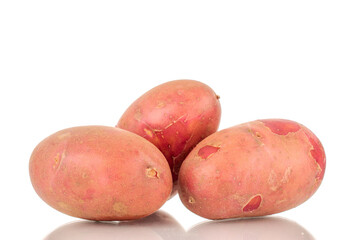 Several organic pink potatoes, close-up, isolated on a white background.