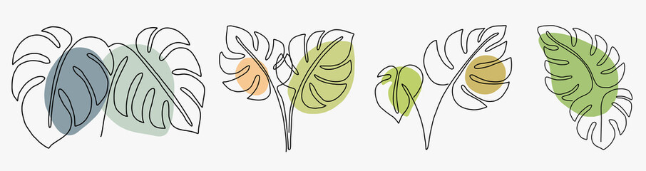 Simplicity monstera leaf freehand continuous line drawing flat design. © tanarch