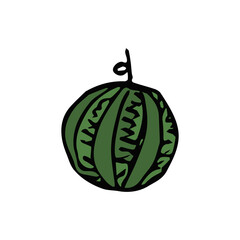 Watermelon icon. Doodle vector illustration with watermelon