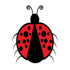 lady bug svg png, lady bug name frame svg, ladybug seamless, birthday girl boy svg, Ladybug SVG, birthday svg, boy svg, girl svg, bug svg, 