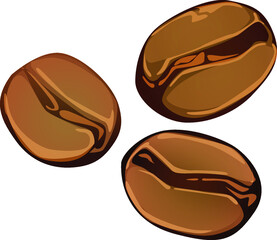 Vector of coffee beans. Coffee beans on a white background. Free space for text. Choosing the perfect grain