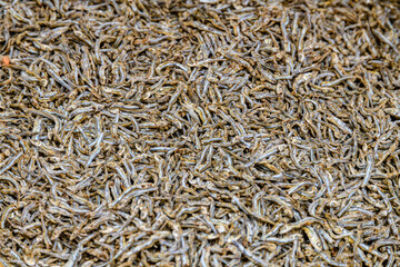 Texture of the dried capelin fish. Seafood background
