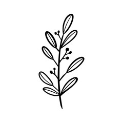 black and white leaves, floral botanical hand drawn vector illustration