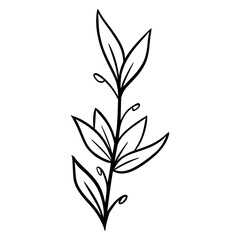 black and white leaves, floral botanical hand drawn vector illustration