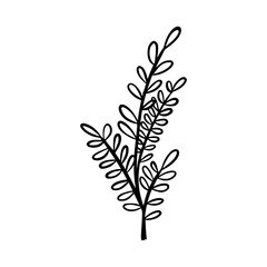 black and white leaves, floral botanical hand drawn vector illustration