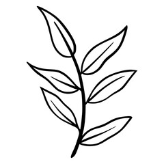 black and white leaves, floral botanical hand drawn vector illustration