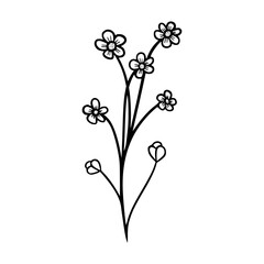 black and white leaves, floral botanical hand drawn vector illustration