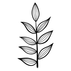 black and white leaves, floral botanical hand drawn vector illustration