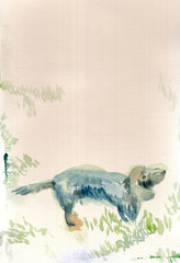 An hand drawn illustration, scanned picture - an dog, dachshund - watercolor technique
