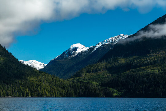 Knight Inlet Landscape