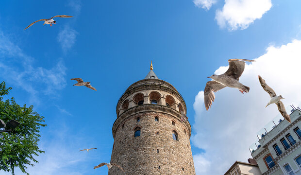 Galata Tower in Istanbul Turkey, famous turist destination in Istanbul with seagulls