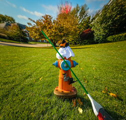 View of fire hydrant decorated as Halloween witch holding broom; distorted green lawn and autumn...